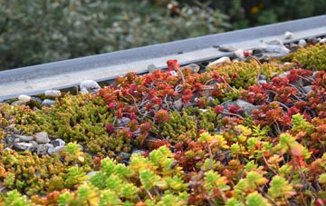 the cost of Rhiwbebyll green roof installation