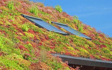Rhiwbebyll living roof systems