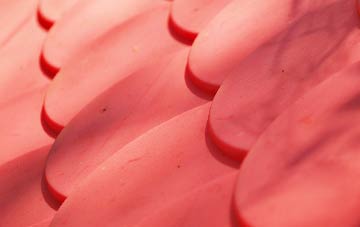 Rhiwbebyll plastic roof costs